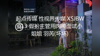 起点传媒 性视界传媒 XSJBW013 假扮主管用肉棒面试小姐姐 羽芮(坏坏)