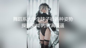 老婊子的丑态