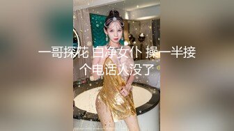 一哥探花 白净女仆 操一半接个电话人没了