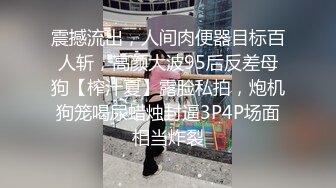 震撼流出，人间肉便器目标百人斩，高颜大波95后反差母狗【榨汁夏】露脸私拍，炮机狗笼喝尿蜡烛封逼3P4P场面相当炸裂