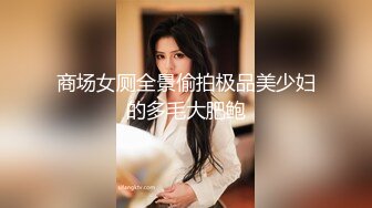 商场女厕全景偷拍极品美少妇的多毛大肥鲍