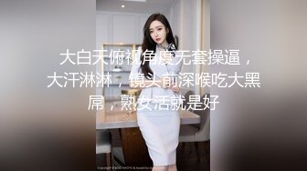 我的女神我追了2年