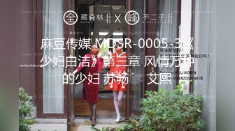 麻豆传媒 MDSR-0005-3《少妇白洁》第三章 风情万种的少妇 苏畅❤️艾熙