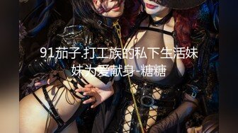 少妇女骑士