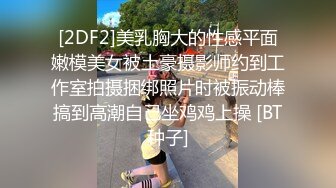 大奶情人穿着空姐制服 黑鱼网丝袜誘惑 一撮阴毛太性感 高清拍摄撸管佳片