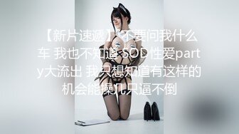 Onlyfans 极品网红小姐姐 桥本香菜 双生中华娘姐妹篇