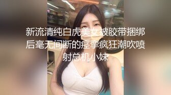 麻豆传媒 MD-0187 诱奸来面试的美女大学生黑丝大长腿