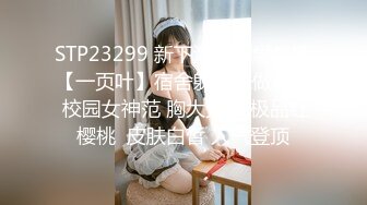 推特30万粉母狗【Ella小骚狐】野外露出 调教 多P付费订阅