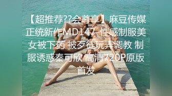 国产麻豆AV MD MD0233 惹火借宿 米亚