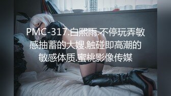 PMC-317.白熙雨.不停玩弄敏感抽蓄的大嫂.触碰即高潮的敏感体质.蜜桃影像传媒