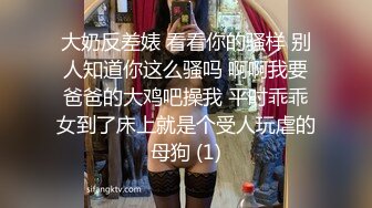 麻豆傳媒 肉肉傳媒RR-005大尺度模特初次下海