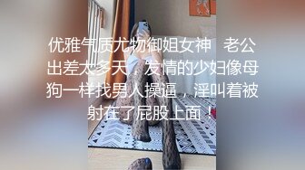 21CM狠狠抽插性感鱼网小女友唯美魔鬼身材，连续高潮