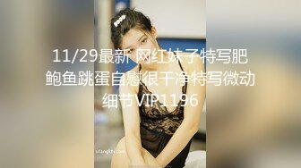 11/29最新 网红妹子特写肥鲍鱼跳蛋自慰很干净特写微动细节VIP1196