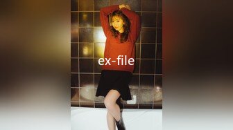 ex-file