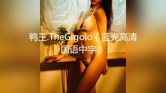 鸭王.TheGigolo（蓝光高清国语中字）