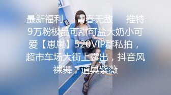 最新福利❤️青春无敌❤️推特9万粉极品可甜可盐大奶小可爱【崽崽】520VIP群私拍，超市车场大街上露出，抖音风裸舞，道具紫薇