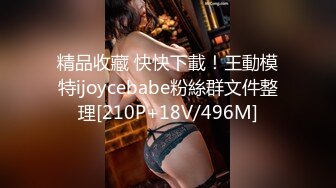 精品收藏 快快下載！王動模特ijoycebabe粉絲群文件整理[210P+18V/496M]