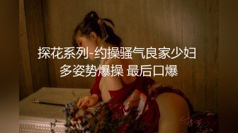 嫂子的职业MySisterinlawsJob2017HD1080P韩语中字