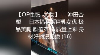 绝对领域传媒 LY019 诱上少年的家教老师