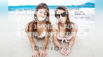 放浪传媒FX-0003傲慢女上司