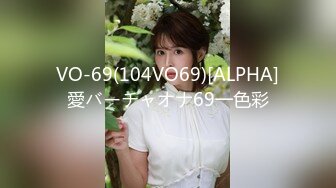 VO-69(104VO69)[ALPHA]愛バーチャオナ69一色彩