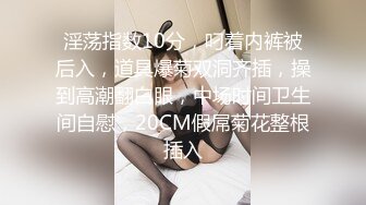 【极品骚货❤️反差婊】最新精选10套超高颜值美女生活淫乱私拍甄选 内射 爆菊 啪啪 口爆 反差 完美露脸 第②季