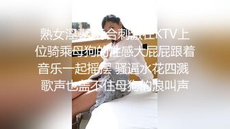 熟女淫妻 场合刺激在KTV上位骑乘母狗的性感大屁屁跟着音乐一起摇摆 骚逼水花四溅 歌声也盖不住母狗的浪叫声