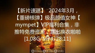 【新片速遞】  2024年3月，【重磅核弹】极品颜值女神【mympet】VIP福利合集，非推特免费资源，露出换衣啪啪[1.08G/MP4/28:11]