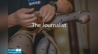 The Journalist