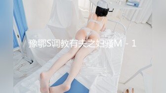 豫鄂S调教有夫之妇骚M－1